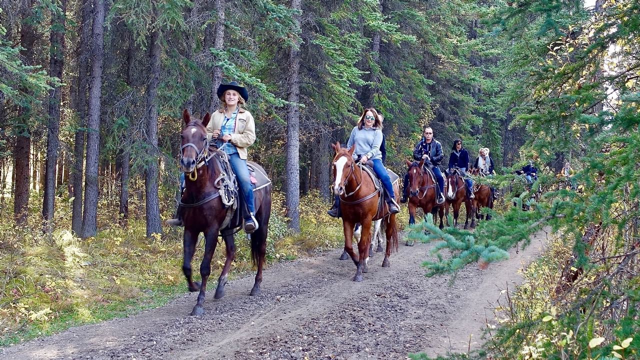 Horseback riding on a trail