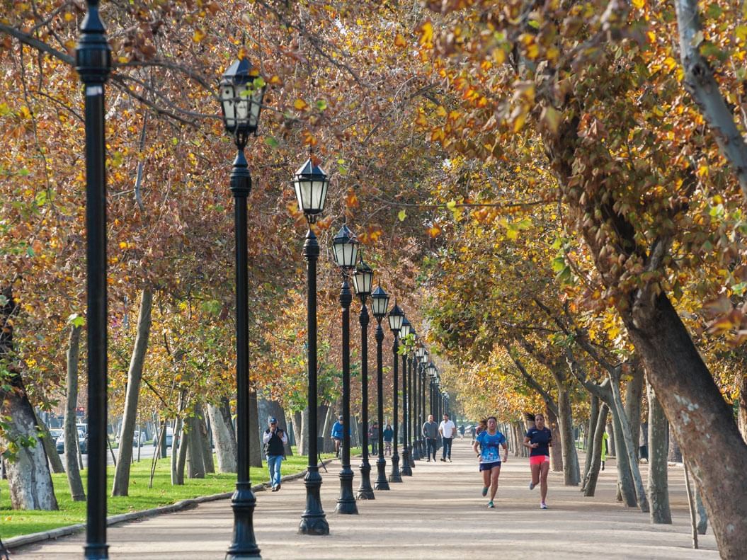 Jogging path in Parque Forestal at Hotel Plaza San Francisco