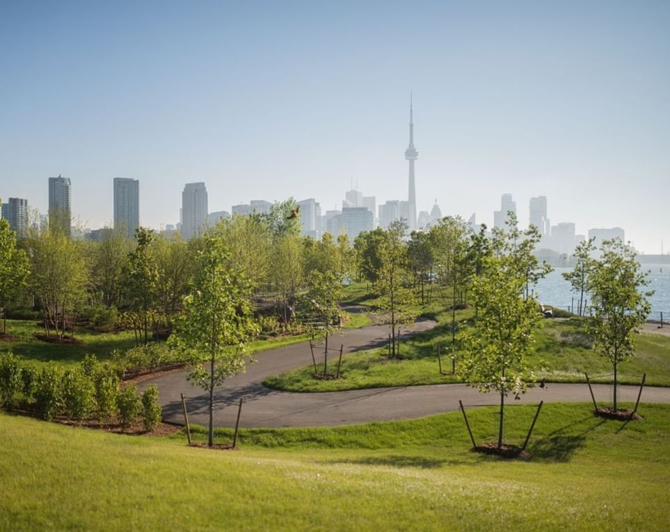 Waterfront park with winding paths surrounded by young trees under clear skies and Toronto skyline near Hotel X Toronto