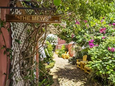 garden with pathway and sign that says The Mews