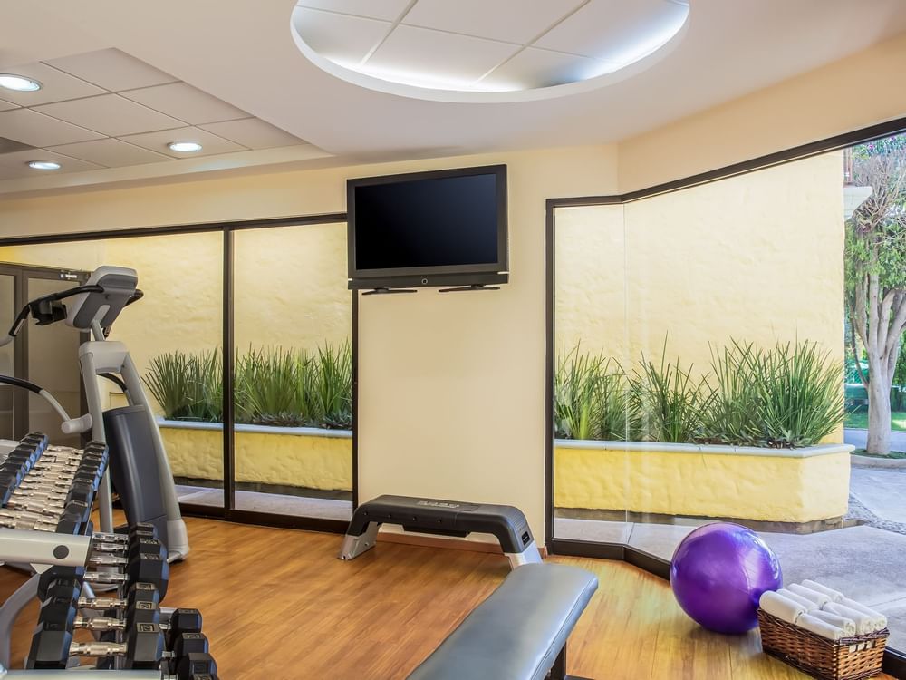 Exercise machines & Tv in a Gym Wellness Center at Fiesta Inn