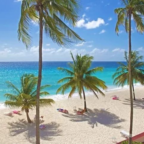 Tropical beach with palm trees near Southern Palms Beach Club