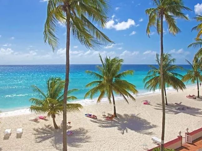 West Palm Beach, Beachfront, Palm Trees, Subtropical Climate