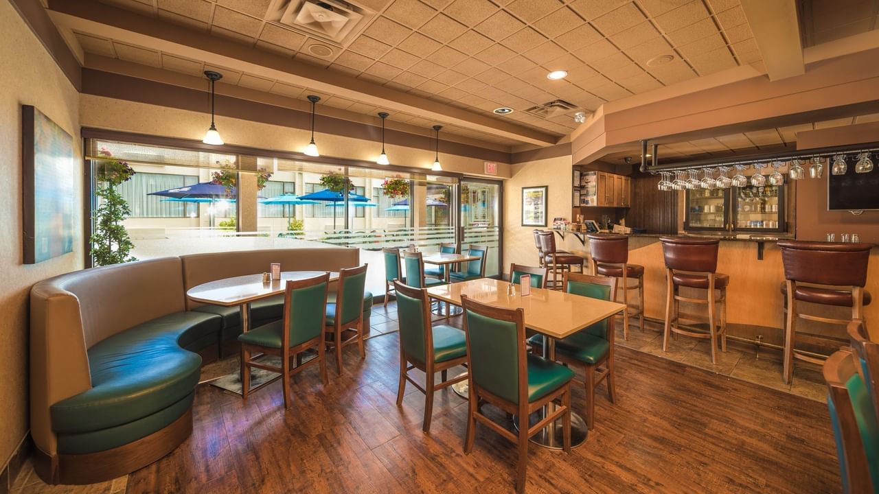 Dining tables and bar in restaurant