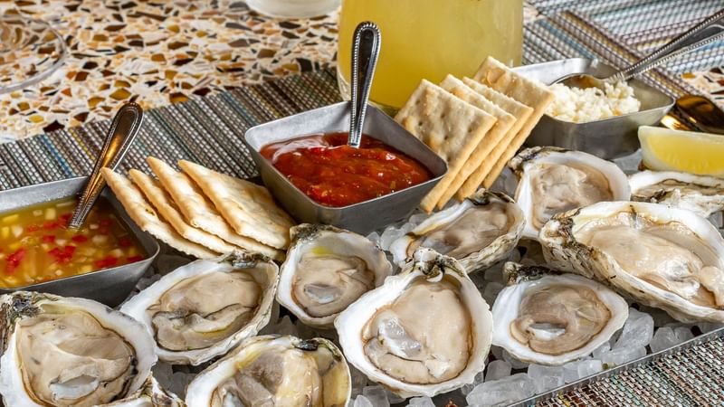 Raw Oysters at Havana Beach Bar & Grill