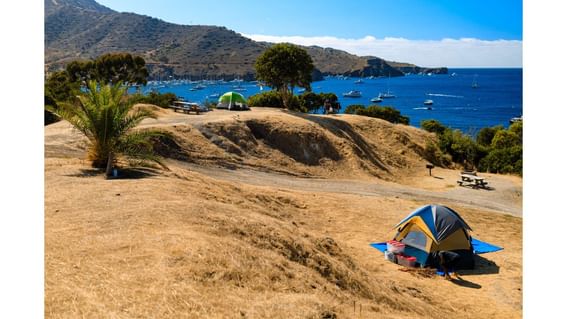 Seaside camping area with tents overlooking a bay with boats near Catalina Island Company