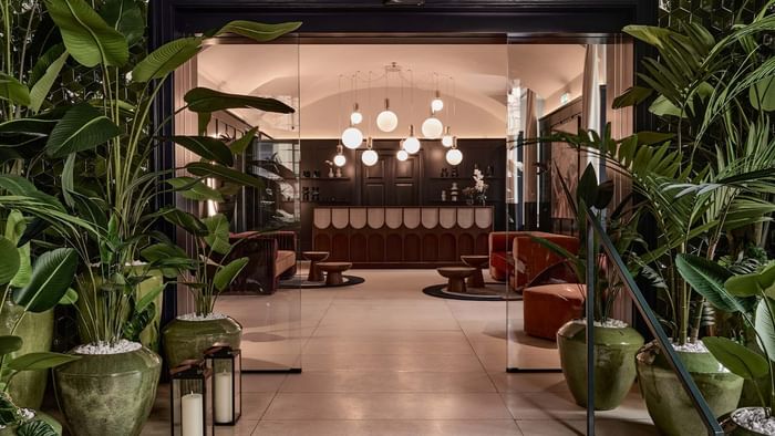 Elegant entrance to lobby featuring lush greenery, stylish lighting, and modern furnishings at Falkensteiner Hotel Prague