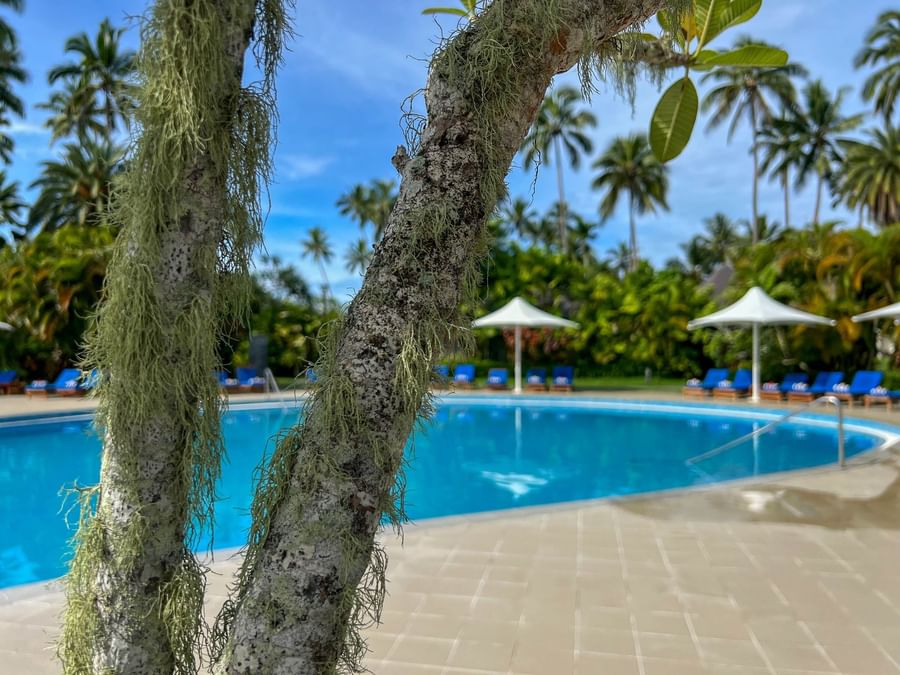 A clear swimming pool with blue chairs and white umbrellas at The Naviti Resort - Fiji.