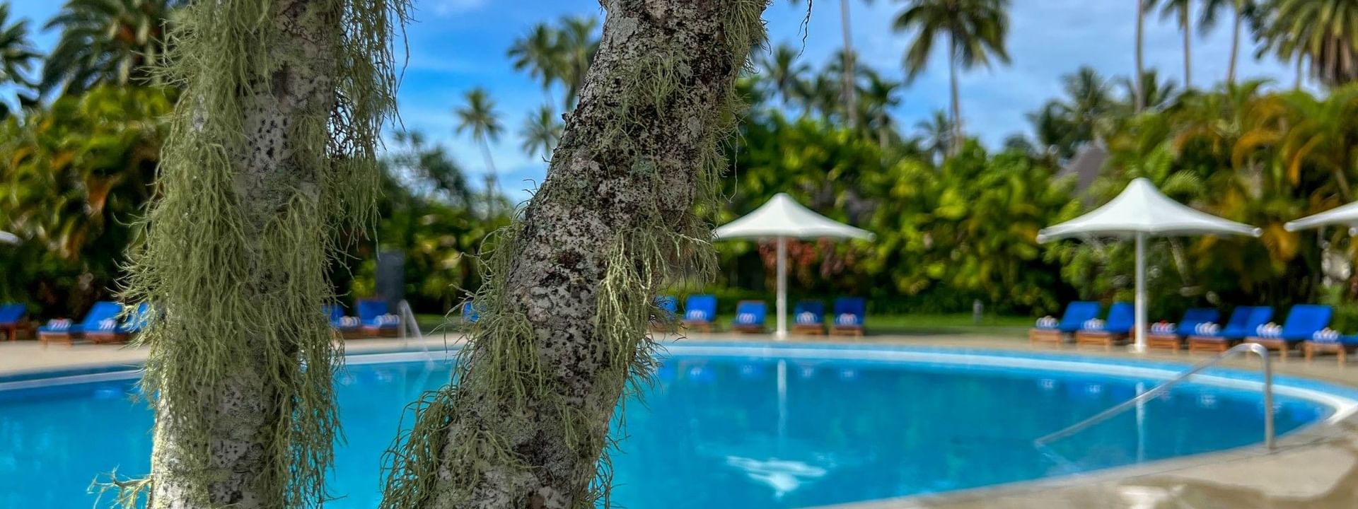 Swimming pool with umbrellas and lounge chairs at The Naviti Resort in Korolevu