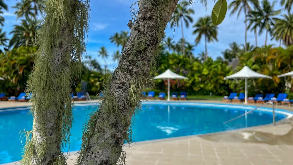 Swimming pool with umbrellas and lounge chairs at The Naviti Resort in Korolevu.