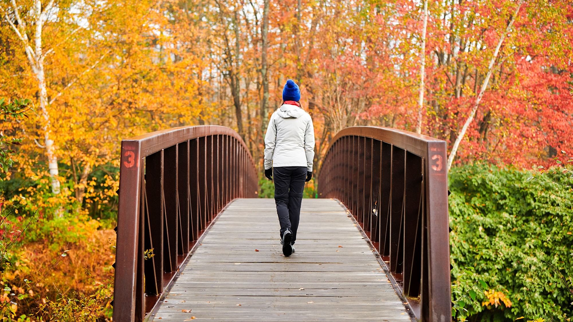 A person in a blue hat walks across a bridge with autumnal trees in the background.