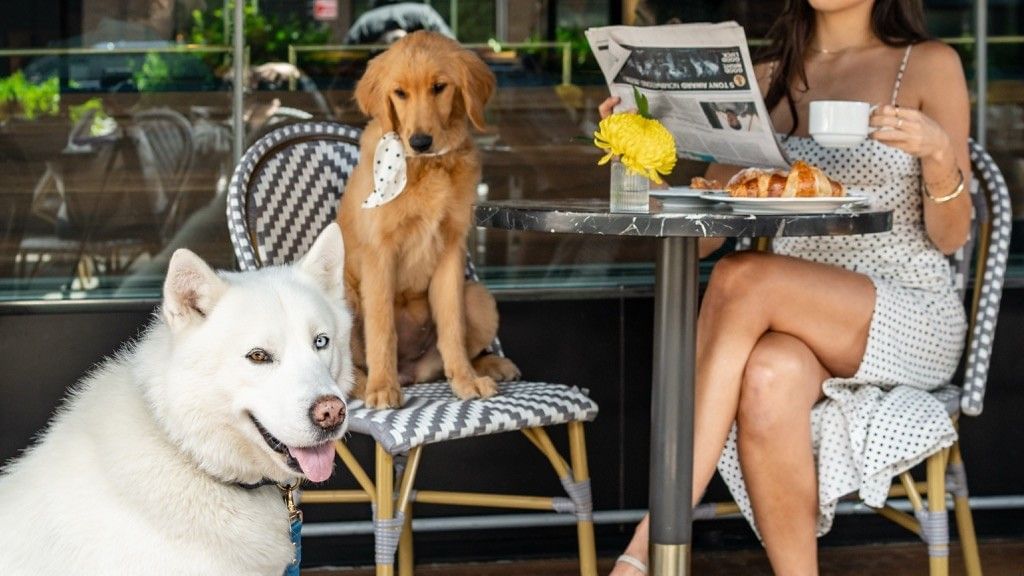 Woman enjoying breakfast with two dogs beside a bistro table on the sunny terrace outdoors at Gansevoort Meatpacking NYC