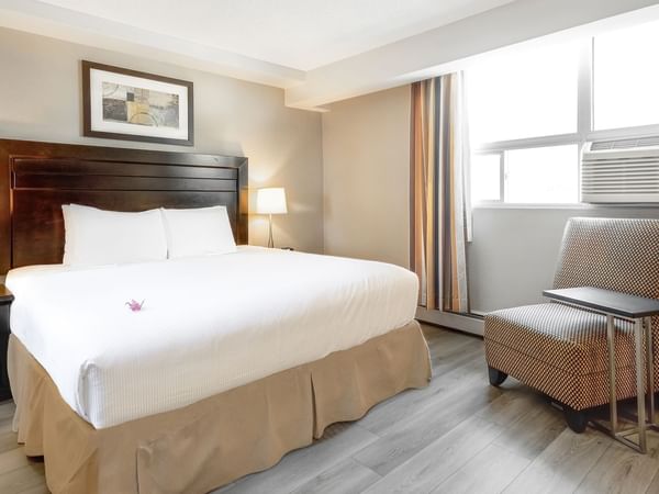 Studio guestroom with king bed