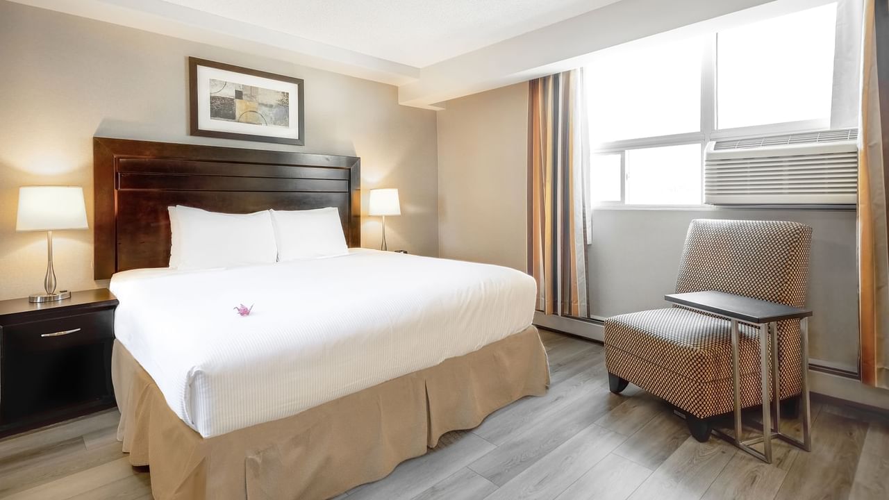 Studio guestroom with king bed