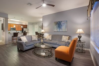 Couch and chair in living room