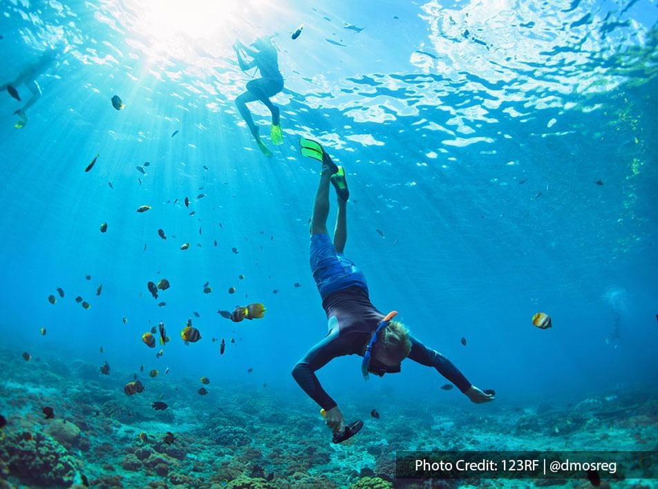 Snorkeling at Port Dickson can be a beauty for your eye -Lexis Hibiscus