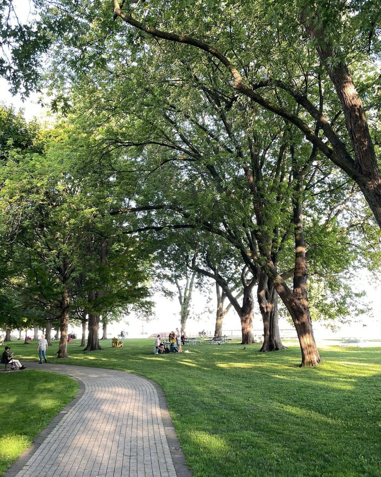 Curved brick path by picnic tables under a canopy of mature trees in a waterfront park near Hotel X Toronto in Toronto
