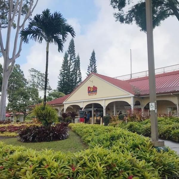 Distant view of the Dole plantation near Waikiki Resort Hotel by Sono