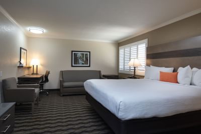 a large bed in a hotel room