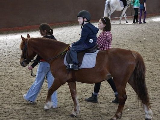 Un niño va a montar a caballo. 