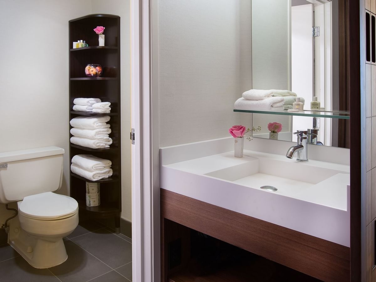 Sink and toilet in modern bathroom