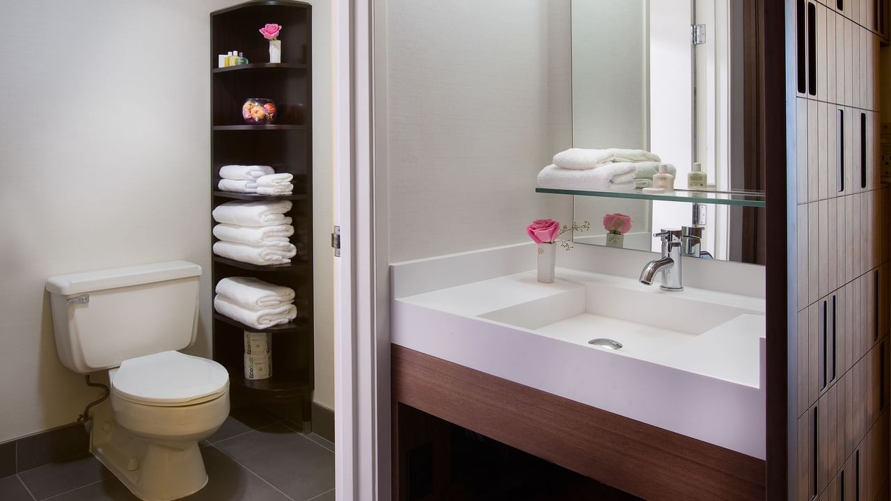 Sink and toilet in modern bathroom