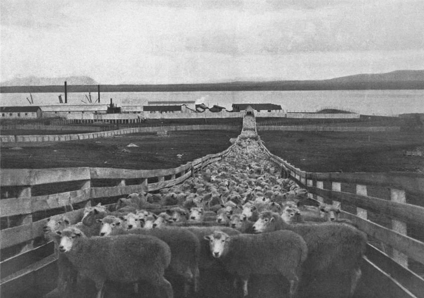 Historia The Singular Patagonia