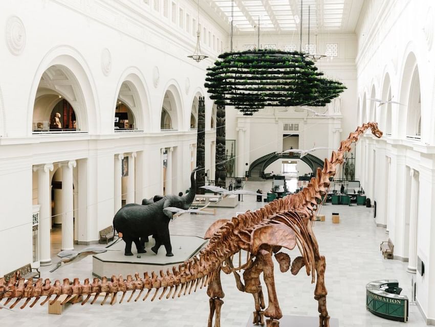 Dinosaurs of Field Museum near The Godfrey Chicago