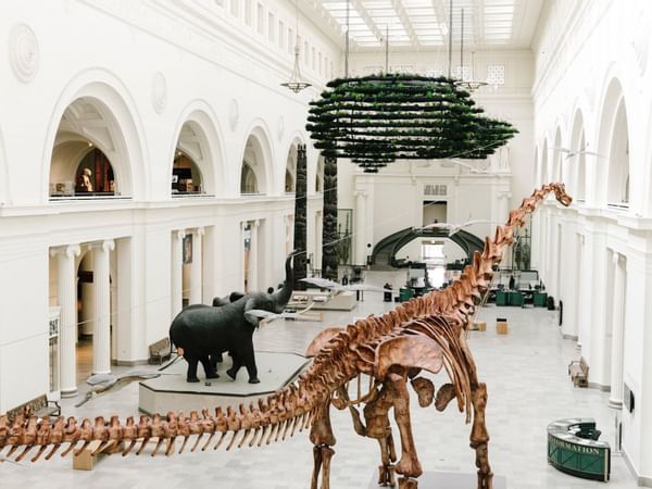 Dinosaurs of Field Museum near The Godfrey Chicago
