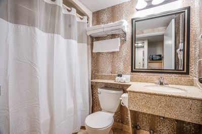 Monte Carlo Inn Barrie Hotel Bathroom barrie