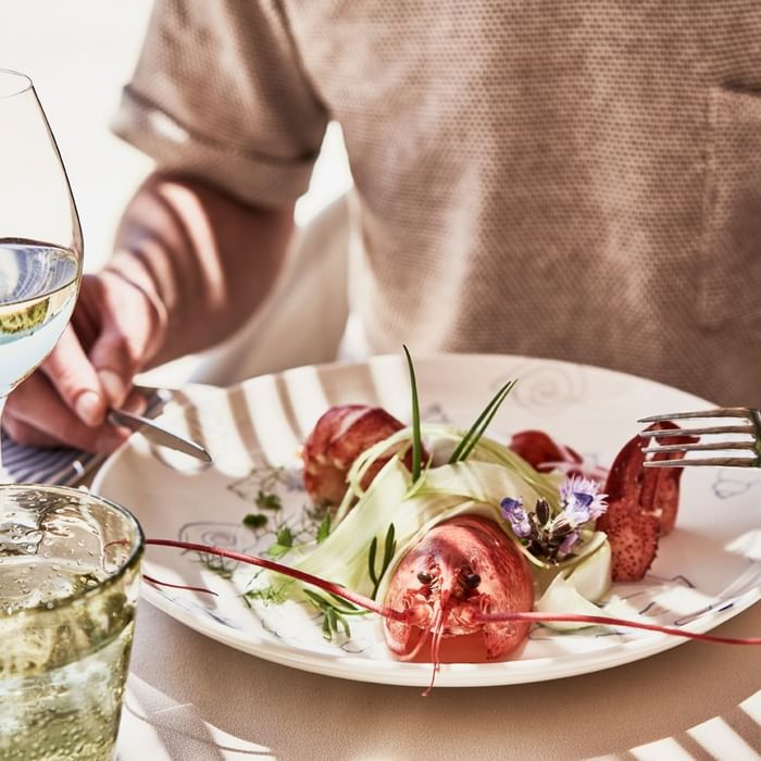 Person dining on a plate of elegantly arranged lobster with white wine at Falkensteiner Hotels & Residences