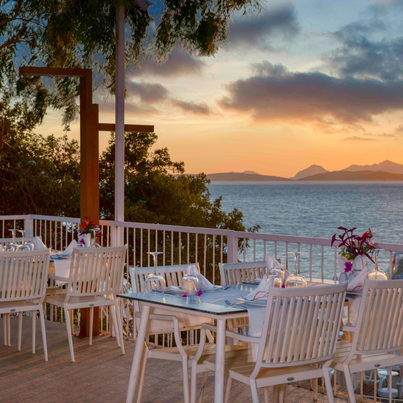 Zest Specialty Restaurant Bars & Restaurants In Bodrum