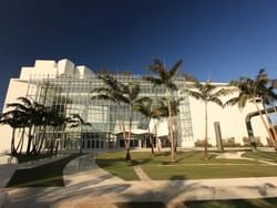 New World Center with a glass facade, a walkway across a lawn, and several palm trees near The Plymouth Hotel South Beach