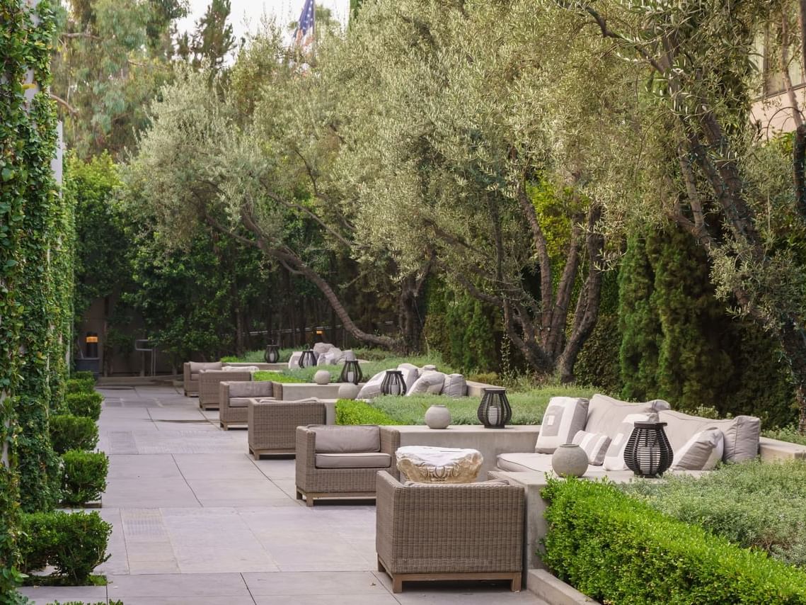 Outdoor Lounge Area Near Plants At Luxe Sunset Boulevard Hotel