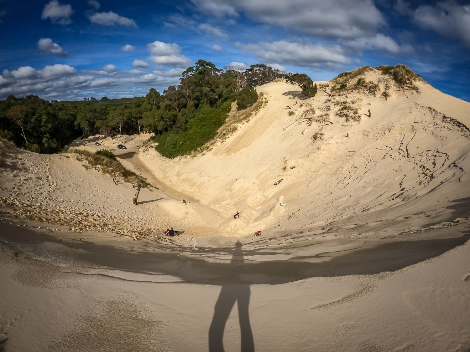 Aerial vew of Henty Dunes near Strahan Village