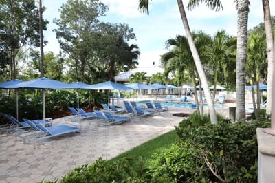 Sunbeds lined by the outdoor pool area at Trianon Bonita Bay