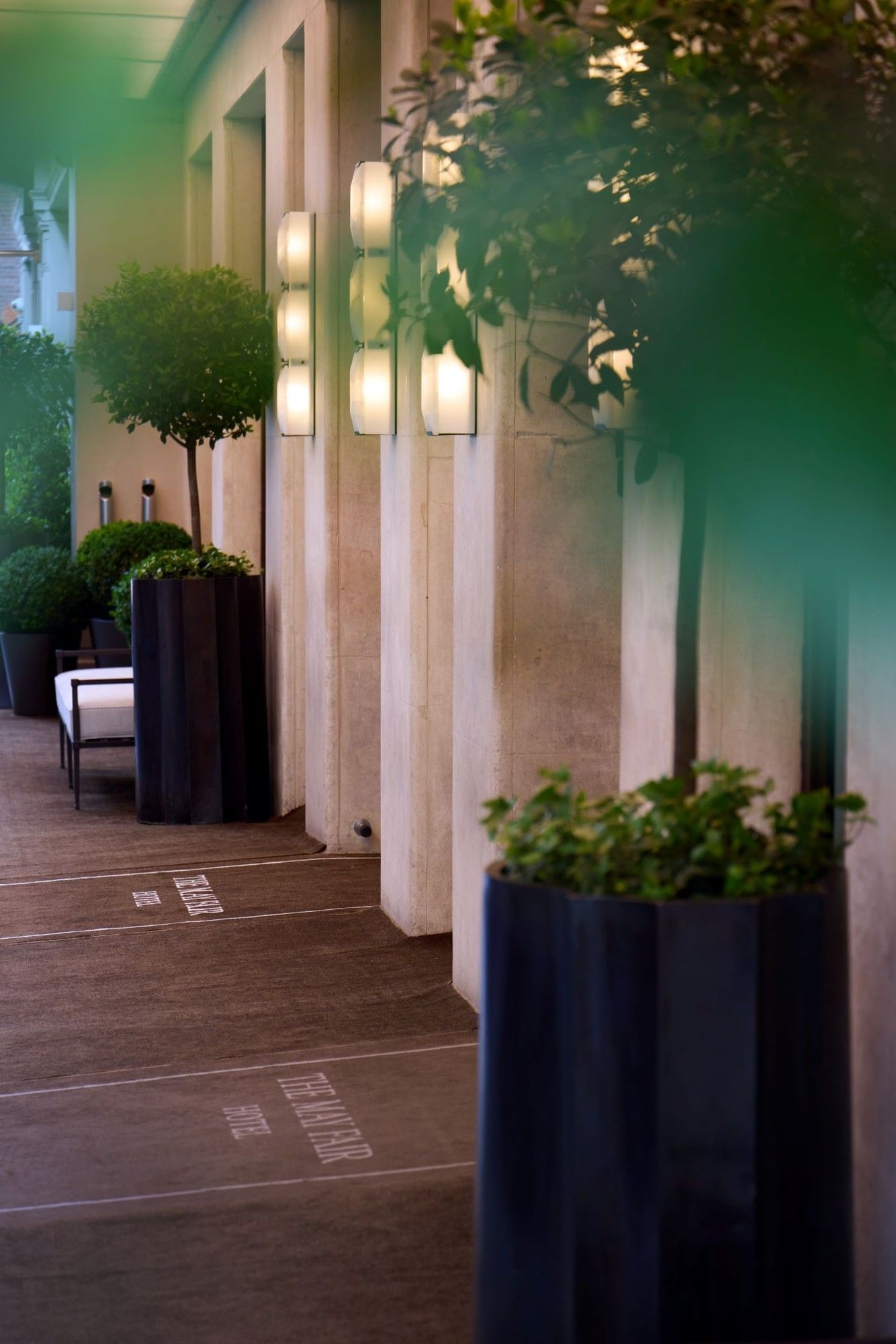 Green foliage in tall planters lines a walkway at The May Fair Hotel.