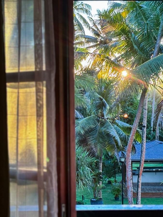 View of palm trees, a pavilion, and sunset light through a hotel window in Garden View Rooms Warwick Fiji Resort and Spa