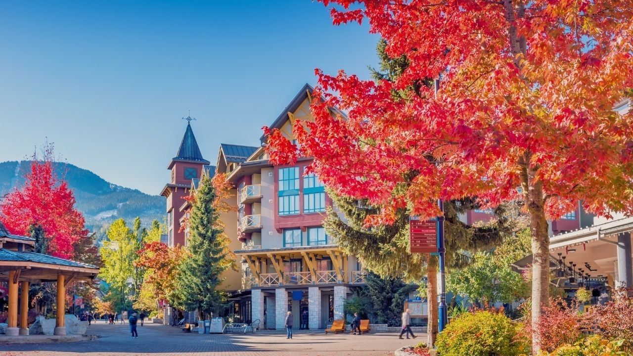 A sunny day in a town square with colorful trees, buildings, and people walking around.