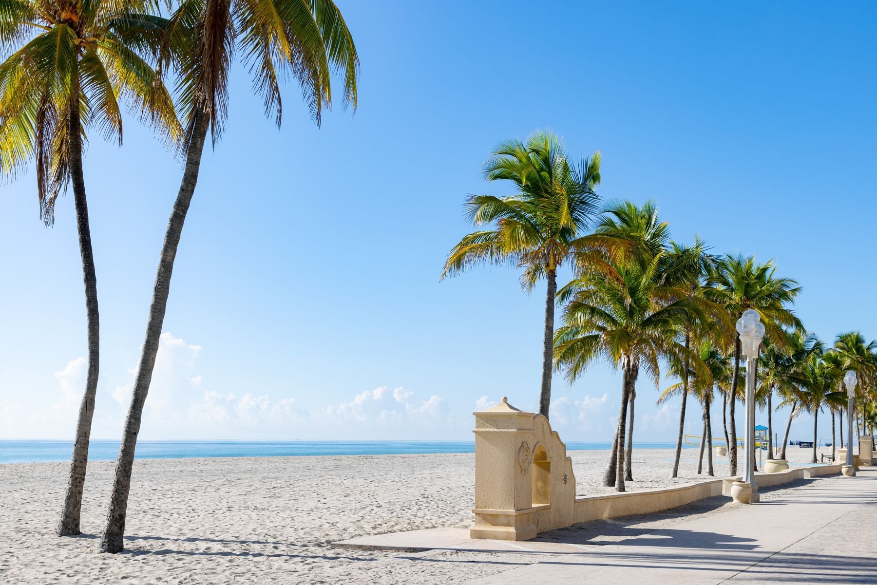Coconut trees on beach with a pathway at Costa Beach Resort