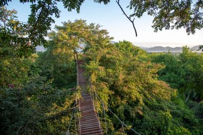 Wooden rope bridge near Marea Beachfront Villas