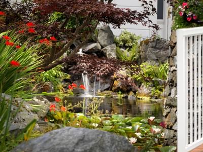Tranquil pond with cascading waterfall & flowers at Huntingdon Manor