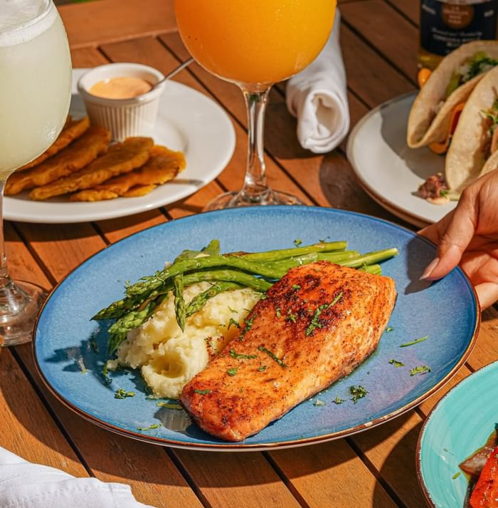 Seared salmon fillet with mashed potatoes and asparagus served on a plate at El Nogal Restaurant, Riviera Hotel South Beach