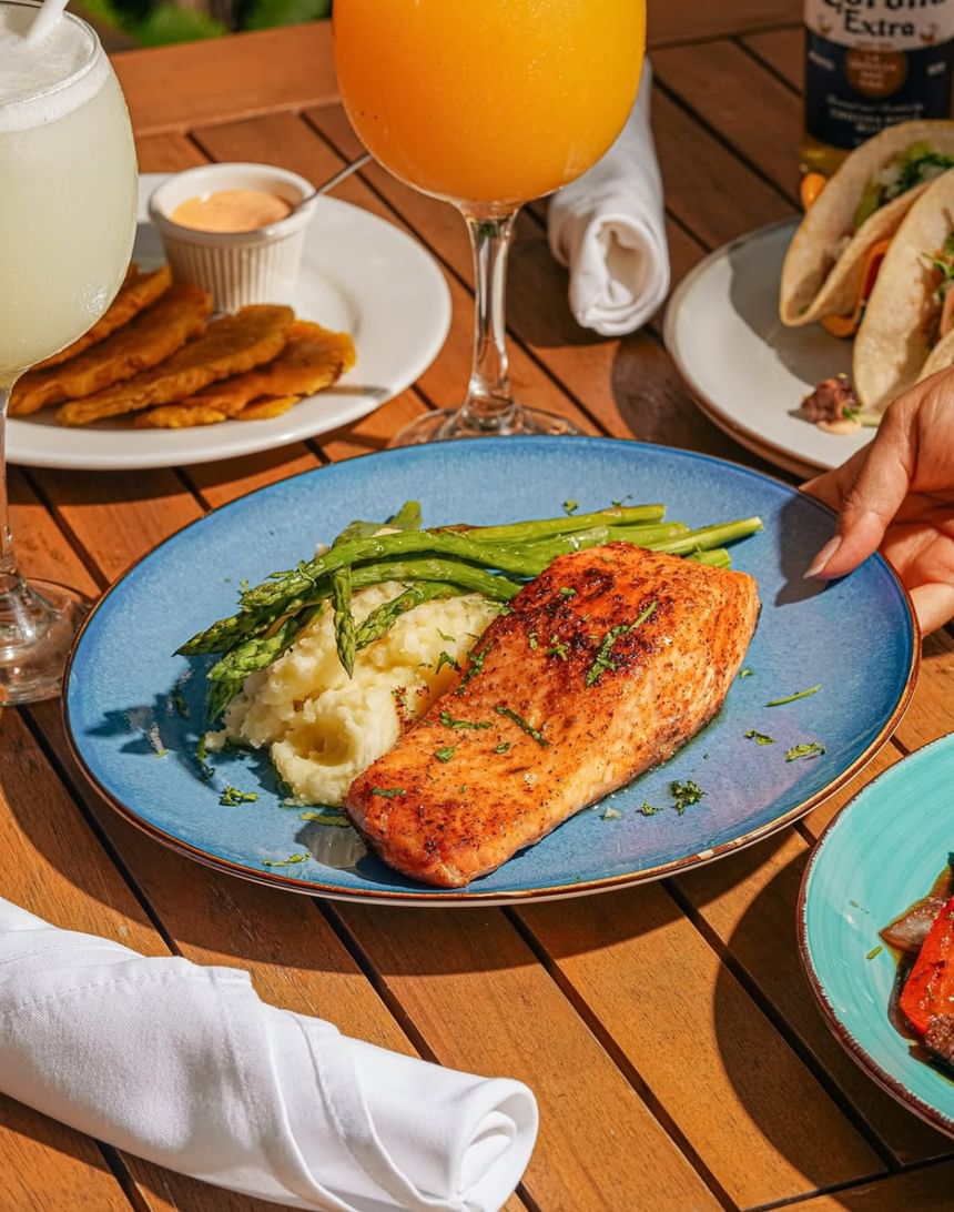 Seared salmon fillet with mashed potatoes and asparagus served on a plate at El Nogal Restaurant, Riviera Hotel South Beach