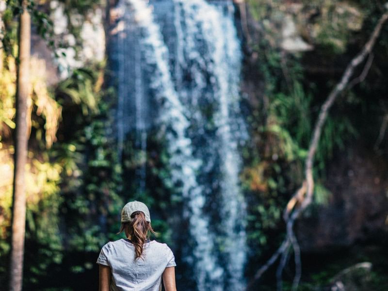 Nature walks and lookouts near Mercure Gold Coast Resort