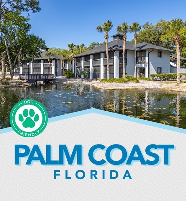 Palm Coast Dog Friendly poster at Legacy Vacation Resorts