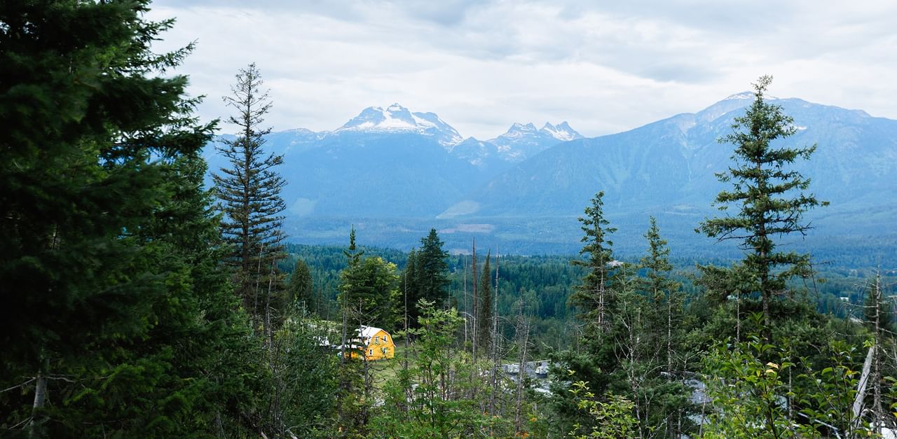 Trees and a mountainous landscape