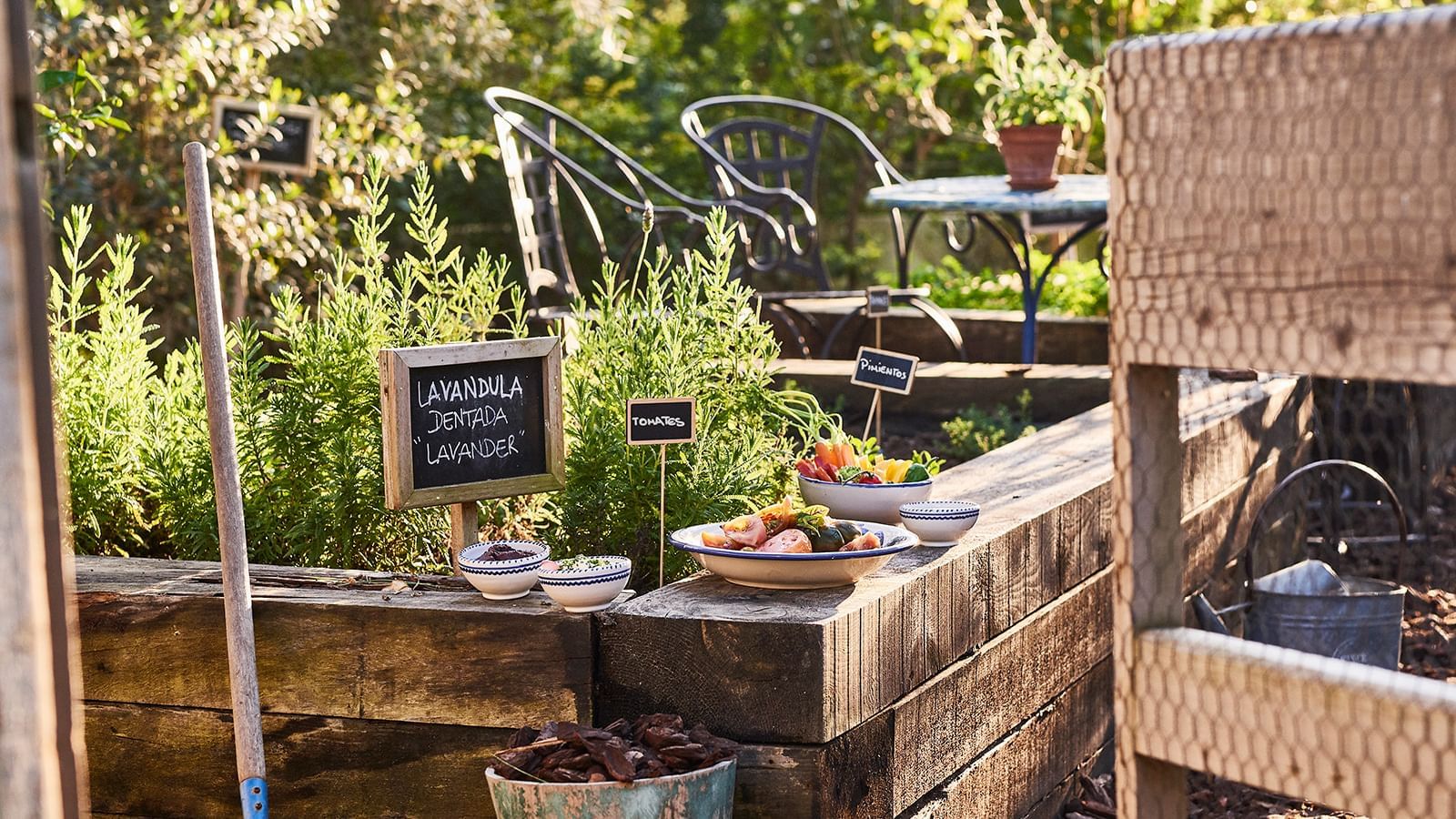 Raised wooden garden beds featuring fresh lavender and rosemary plants at Marbella Club