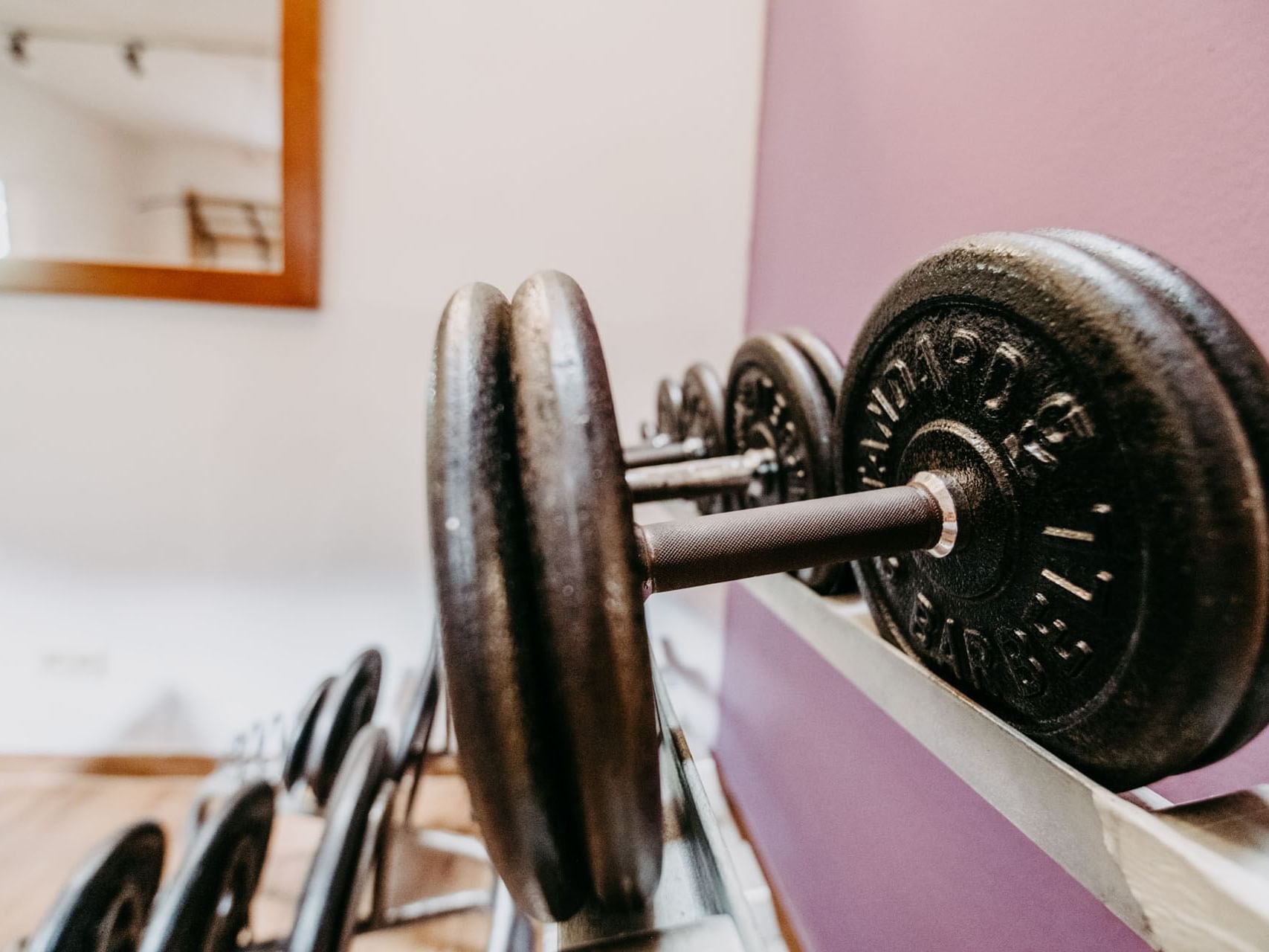 Hanteln mit Gewichten im Fitnessraum