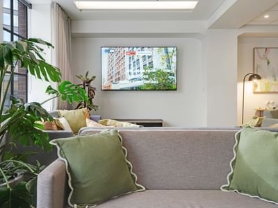 Modern communal lounge with gray sofas, green cushions, potted plants, and wall-mounted TV at UniLodge Auckland Central